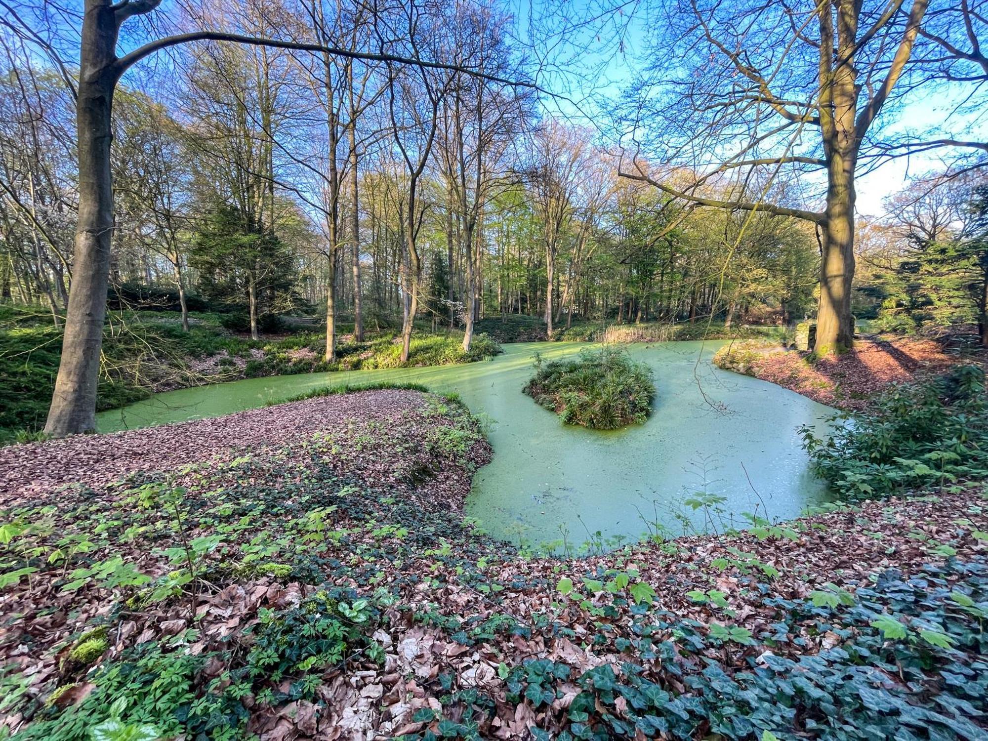 Landhaus Beim Knoops Park Bremen Ngoại thất bức ảnh