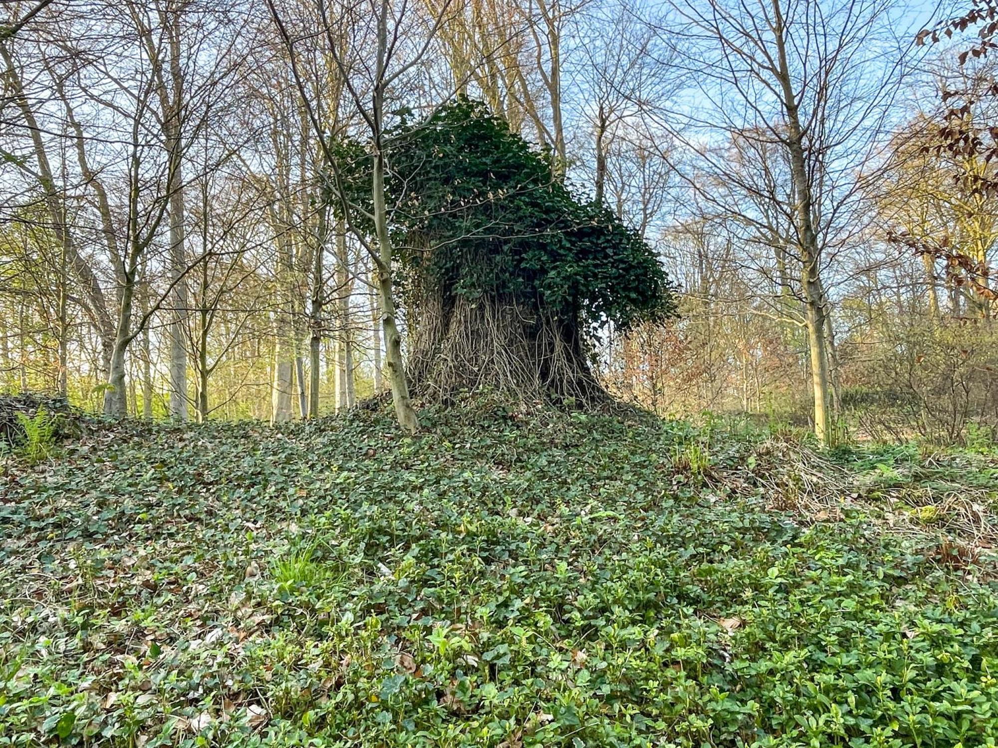 Landhaus Beim Knoops Park Bremen Ngoại thất bức ảnh